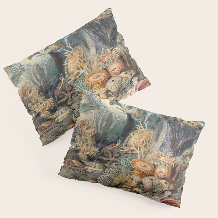 Ocean Life by James M Sommerville 1859 Funky Quirky Cute Cozy Boho Maximalism Maximalist Pillow Sham Gallery Image 3
