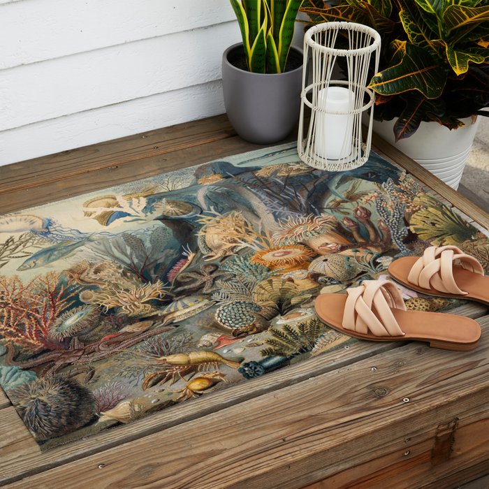 Ocean Life by James M Sommerville 1859 Funky Quirky Cute Cozy Boho Maximalism Maximalist Outdoor Rug Gallery Image 2