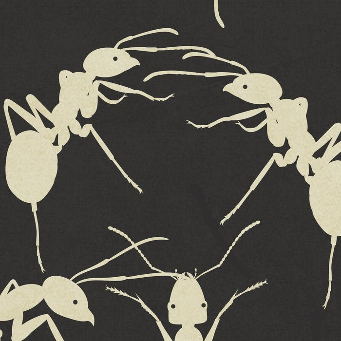 Ants in Formation 6 Coffee Mug Gallery Image 2