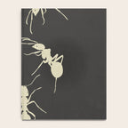 Ants in Formation 6 Notebook Gallery Image 4