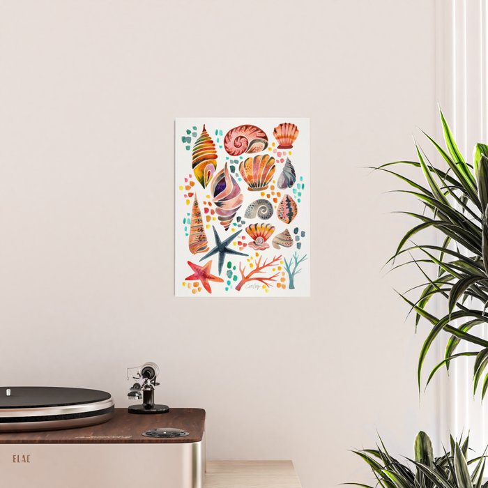 Painted Seashells - Coral & Blue Poster Gallery Image 2