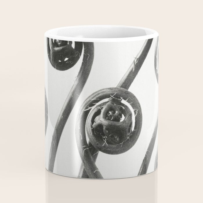 American Maiden-hair Fern fronds wonders of nature black and white photograph by Karl Blossfeldt Coffee Mug Gallery Image 4