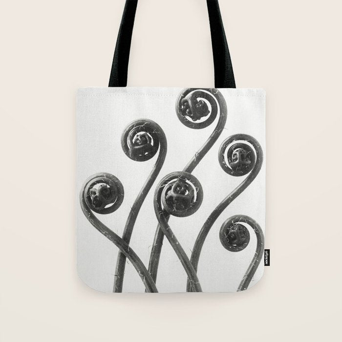 American Maiden-hair Fern fronds wonders of nature black and white photograph by Karl Blossfeldt Tote Bag Gallery Image 1