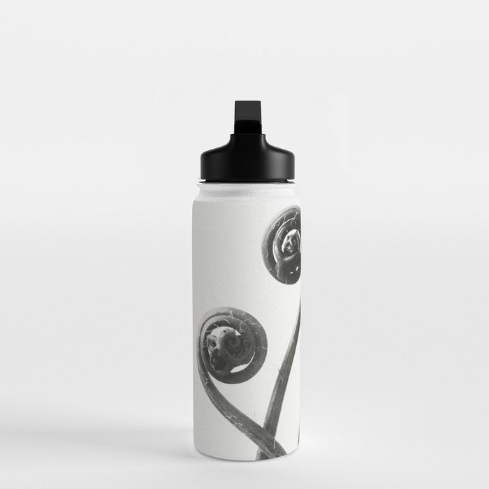 American Maiden-hair Fern fronds wonders of nature black and white photograph by Karl Blossfeldt Water Bottle Gallery Image 3
