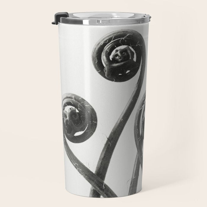 American Maiden-hair Fern fronds wonders of nature black and white photograph by Karl Blossfeldt Travel Mug Gallery Image 3