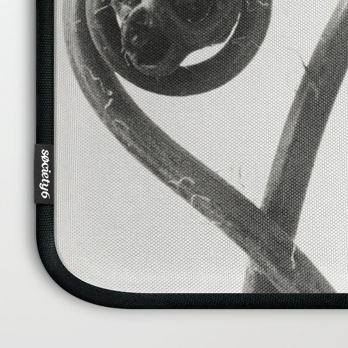 American Maiden-hair Fern fronds wonders of nature black and white photograph by Karl Blossfeldt Laptop Sleeve Gallery Image 3