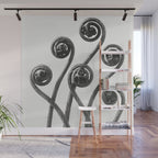 American Maiden-hair Fern fronds wonders of nature black and white photograph by Karl Blossfeldt Wall Mural Gallery Image 1