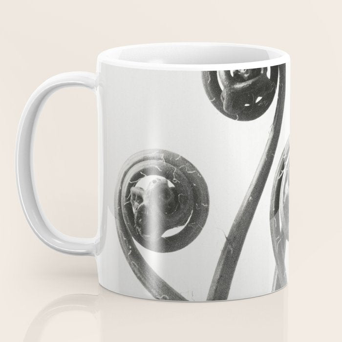American Maiden-hair Fern fronds wonders of nature black and white photograph by Karl Blossfeldt Coffee Mug Gallery Image 3