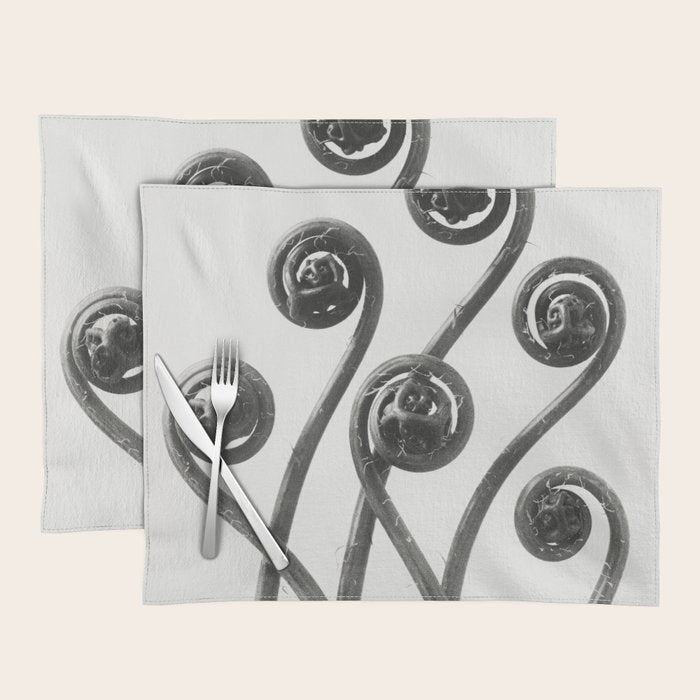 American Maiden-hair Fern fronds wonders of nature black and white photograph by Karl Blossfeldt Placemat Gallery Image 1