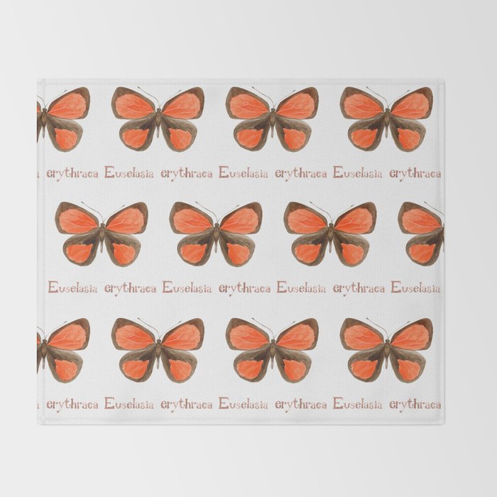 Butterfly - Euselasia erythraea Throw Blanket Gallery Image 2