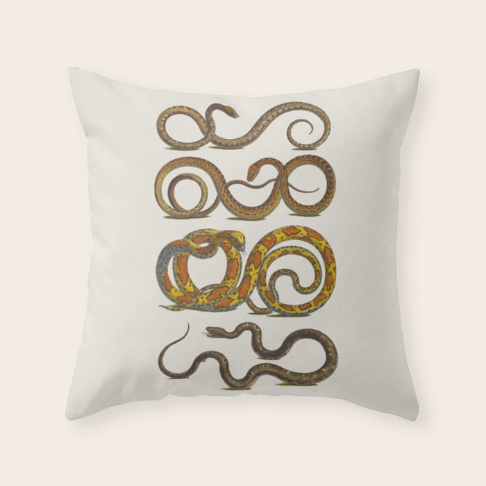 Albertus Seba Snakes Illustration  Throw Pillow Gallery Image 1