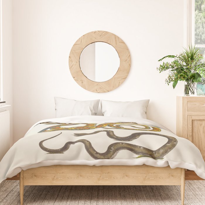 Albertus Seba Snakes Illustration  Duvet Cover Gallery Image 3