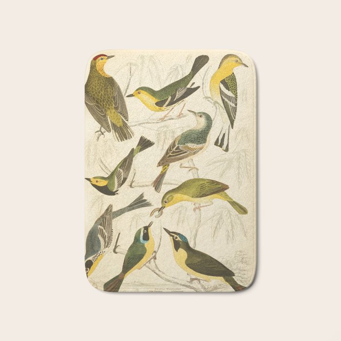 Warblers from The Edinburgh Journal, 1835 (benefitting The Nature Conservancy) Bath Mat Gallery Image 1