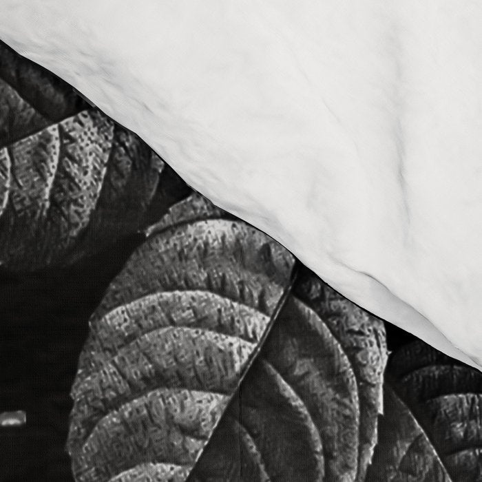Black Forest IV Comforter Gallery Image 4