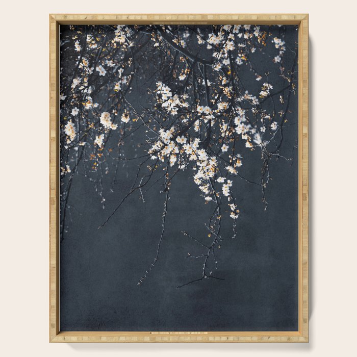 White Blossom Flowers on Blue Texture - Tree - Elegant Floral - Nature photography Serving Tray Gallery Image 1