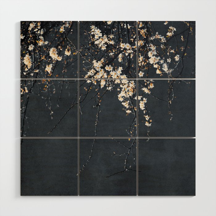 White Blossom Flowers on Blue Texture - Tree - Elegant Floral - Nature photography Wood Wall Art Gallery Image 1