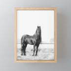 Dark Horse - Nature Photography Mini Art Print Gallery Image 1