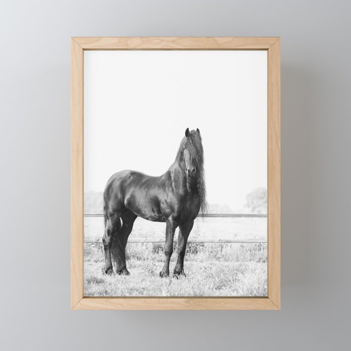 Dark Horse - Nature Photography Mini Art Print Gallery Image 1