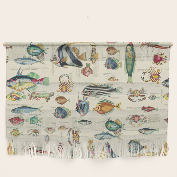 Multicolor  Vintage Fish And Sea Life Illustration Wall Hanging Gallery Image 1