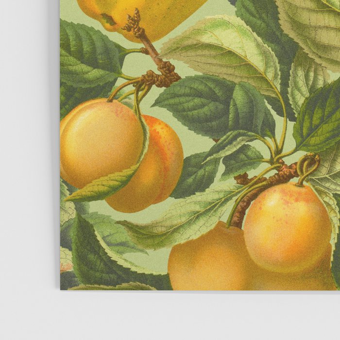 Fruit Garden Poster Gallery Image 3