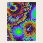 Sun Syndrome Poster Gallery Image 4