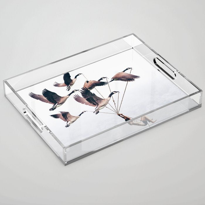 Wild Ride Acrylic Tray Gallery Image 1
