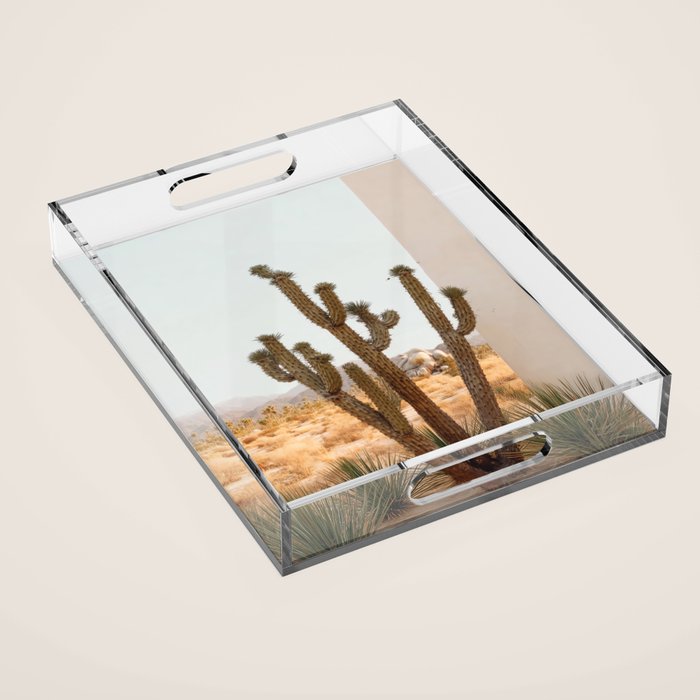 Sunset Cactus - Neutral Desert Wall Art Acrylic Tray Gallery Image 1