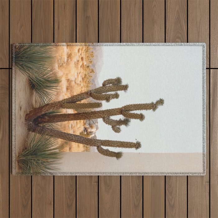 Sunset Cactus - Neutral Desert Wall Art Outdoor Rug Gallery Image 1