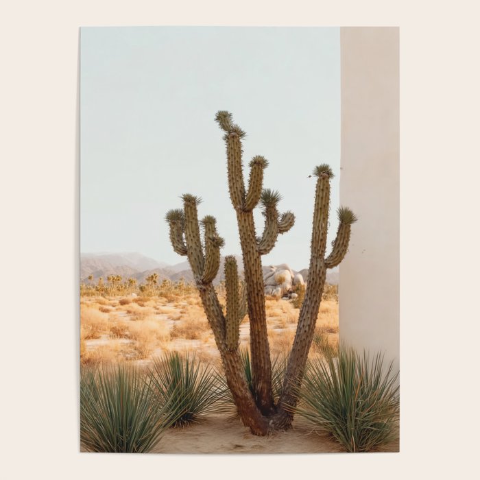 Sunset Cactus - Neutral Desert Wall Art Poster Gallery Image 4