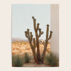 Sunset Cactus - Neutral Desert Wall Art Poster Gallery Image 4