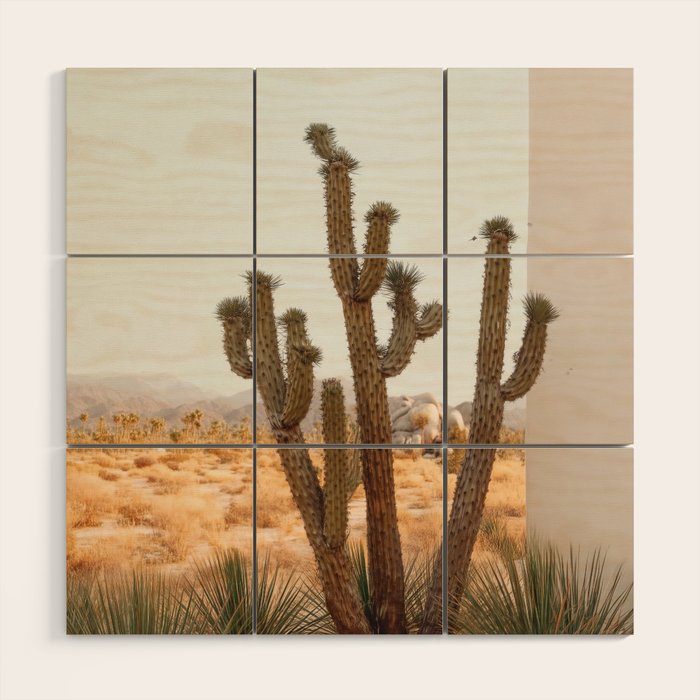 Sunset Cactus - Neutral Desert Wall Art Wood Wall Art Gallery Image 1