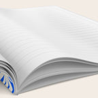 Daisies in Blue Notebook Gallery Image 2