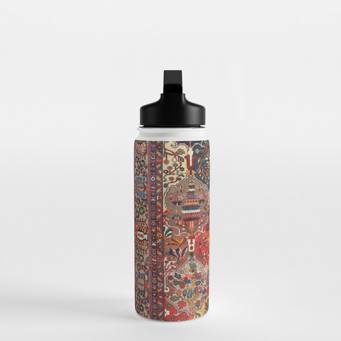 Antique Bakhtiari Oriental Jewel Persian Carpet Water Bottle Gallery Image 3