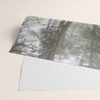 Fern Prairie Nature Forest Photography Wrapping Paper Gallery Image 2