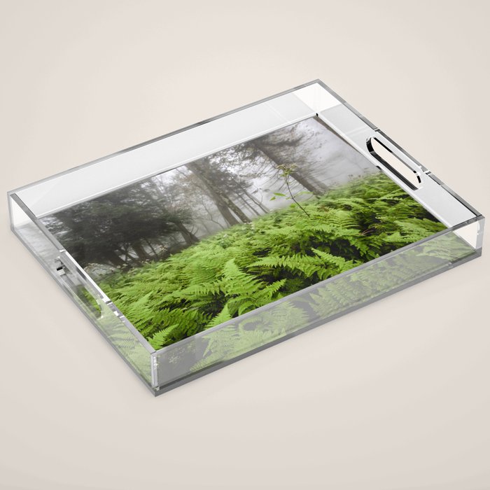 Fern Prairie Nature Forest Photography Acrylic Tray Gallery Image 1