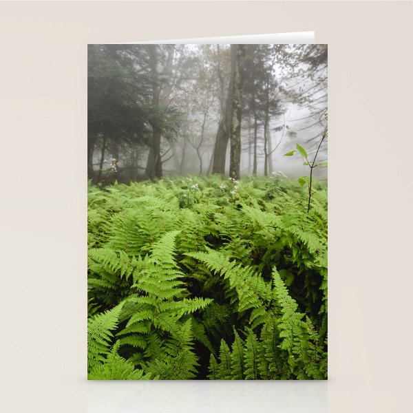Fern Prairie Nature Forest Photography Stationery Card Gallery Image 2