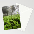 Fern Prairie Nature Forest Photography Stationery Card Gallery Image 2