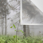 Fern Prairie Nature Forest Photography Wall Tapestry Gallery Image 3