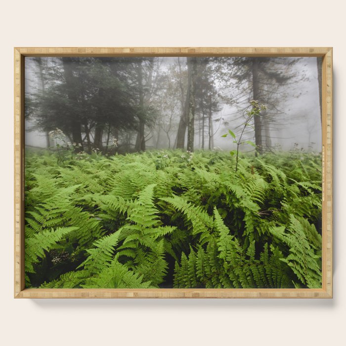 Fern Prairie Nature Forest Photography Serving Tray Gallery Image 1
