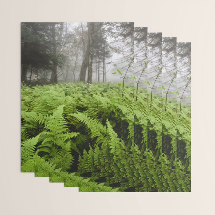 Fern Prairie Nature Forest Photography Wrapping Paper Gallery Image 3