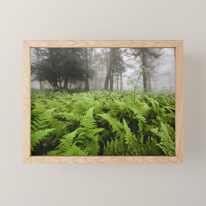 Fern Prairie Nature Forest Photography Mini Art Print Gallery Image 1