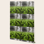 Fern Prairie Nature Forest Photography Wallpaper Gallery Image 2