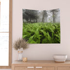 Fern Prairie Nature Forest Photography Wall Tapestry Gallery Image 2