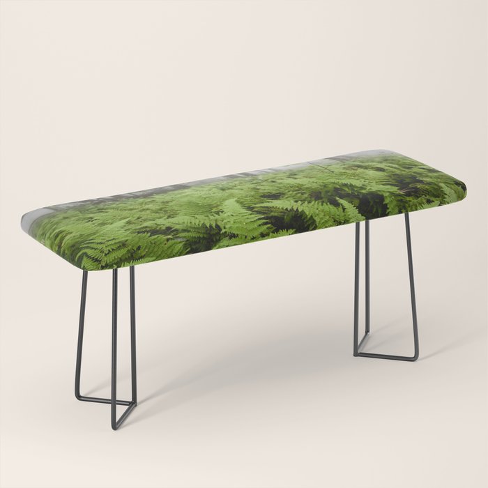 Fern Prairie Nature Forest Photography Bench Gallery Image 1