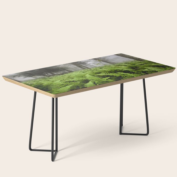Fern Prairie Nature Forest Photography Coffee Table Gallery Image 1