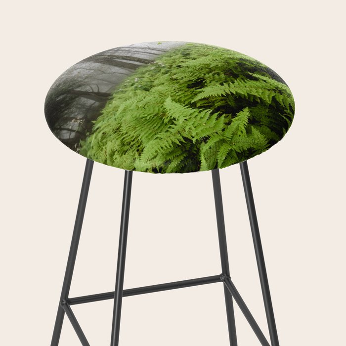 Fern Prairie Nature Forest Photography Stool Gallery Image 2
