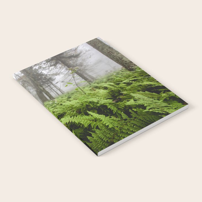 Fern Prairie Nature Forest Photography Notebook Gallery Image 1