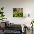 Fern Prairie Nature Forest Photography Wood Wall Art Gallery Image 2