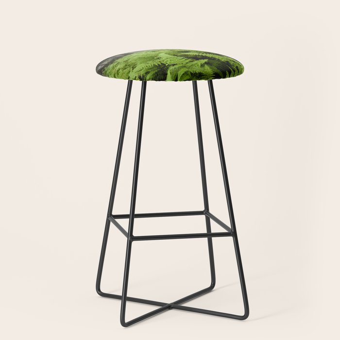 Fern Prairie Nature Forest Photography Stool Gallery Image 1