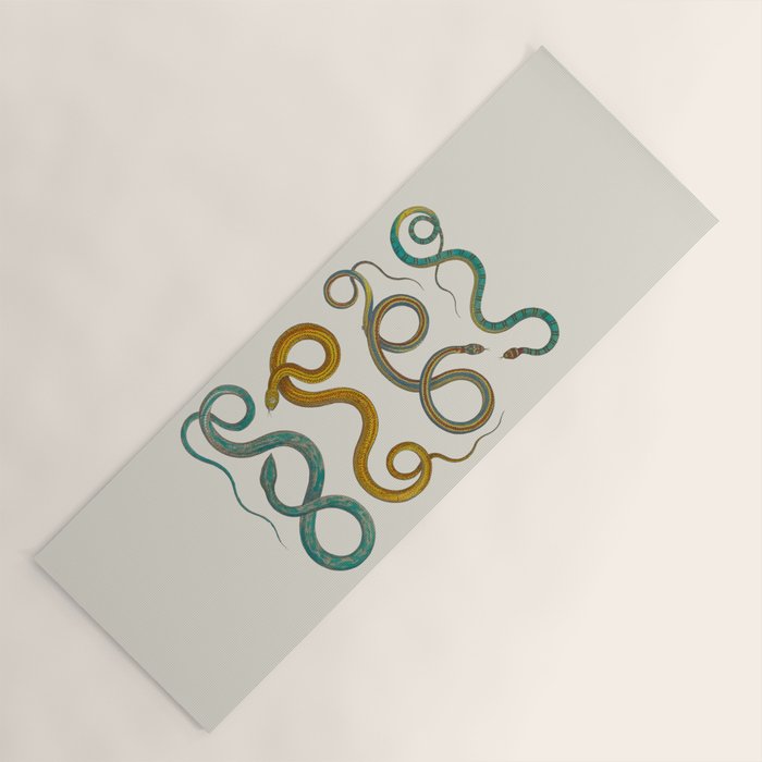 Albertus Seba Snakes Illustration Teal And Yellow Scales Yoga Mat Gallery Image 1